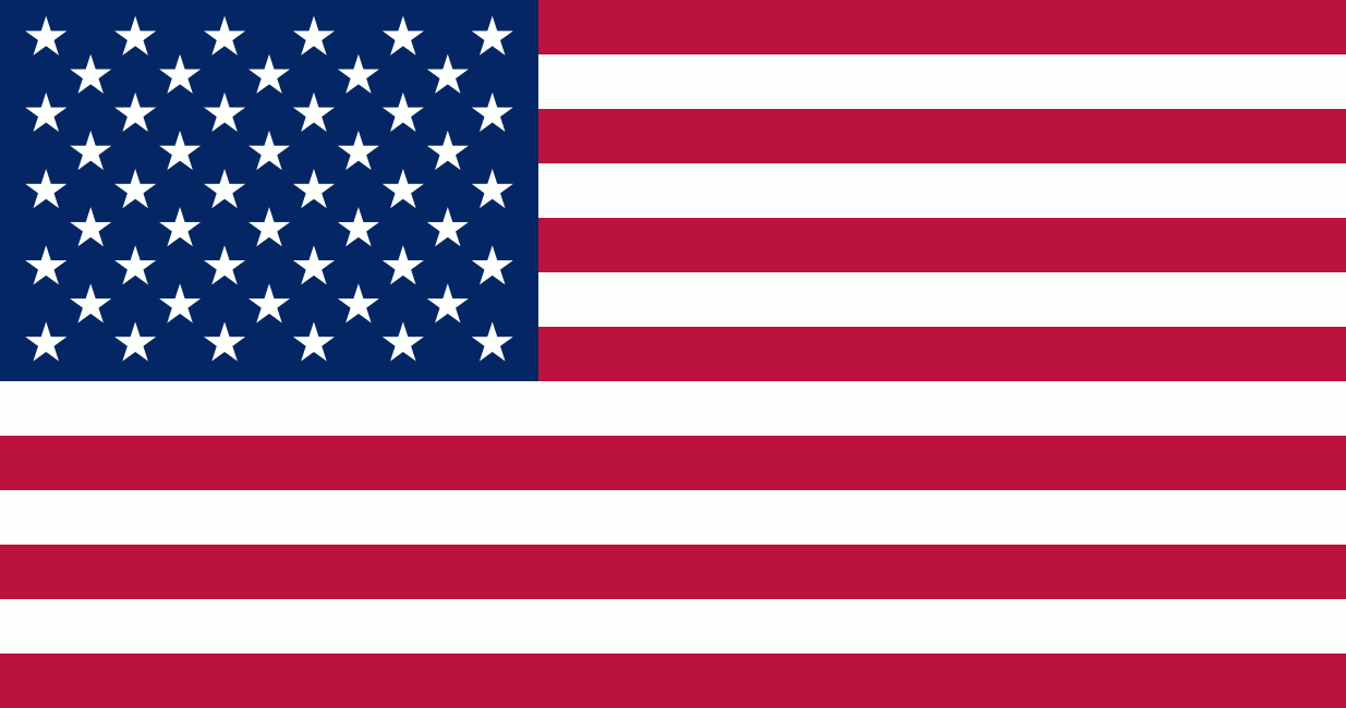 [United States of America flag]